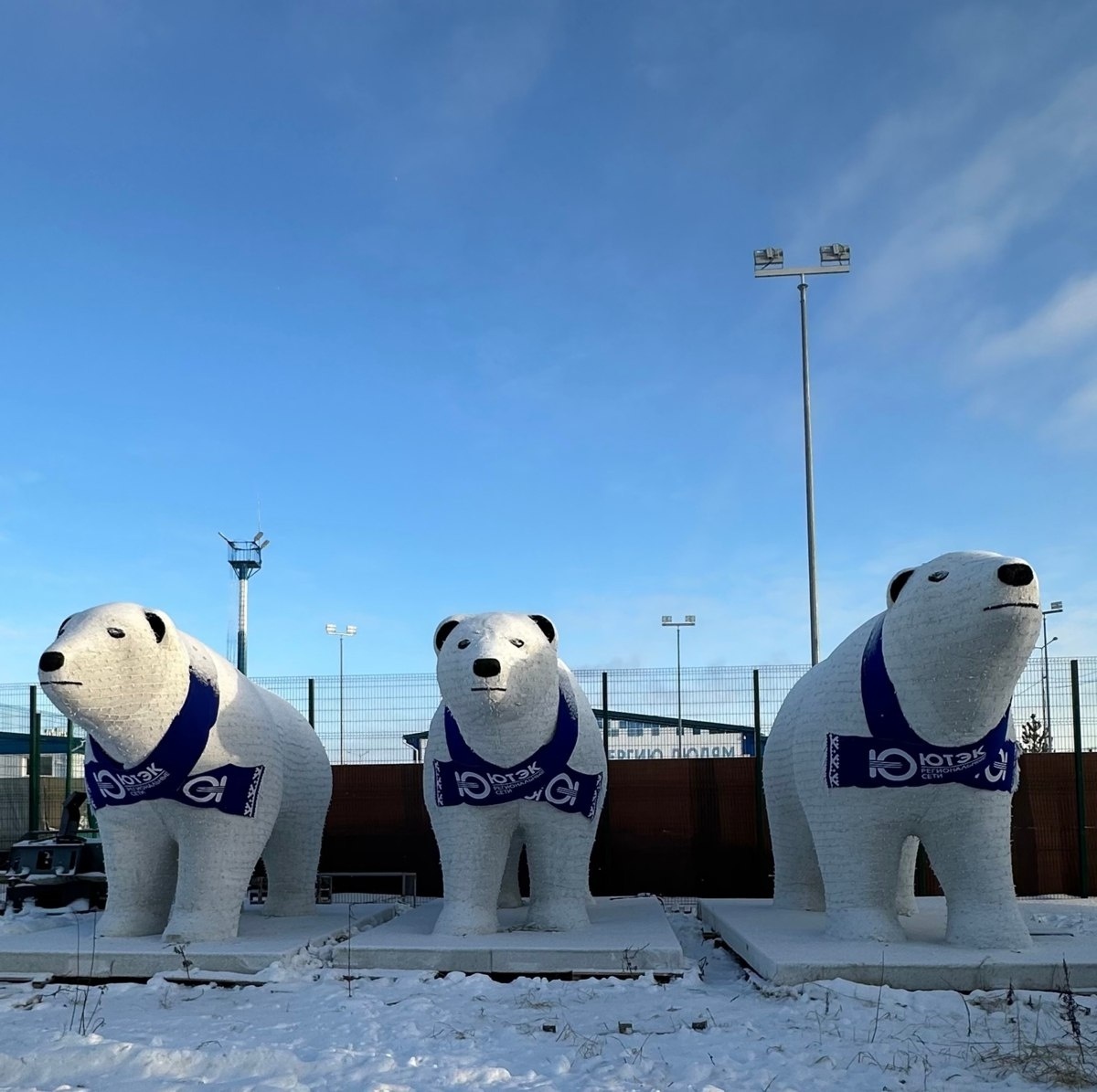 Мишки снова с нами.