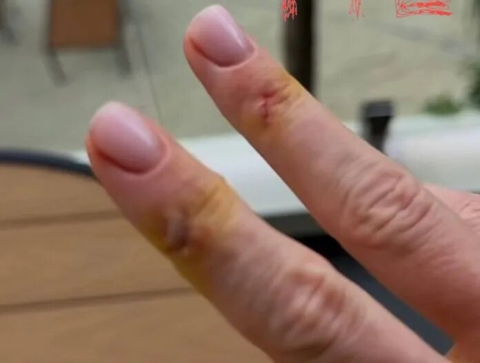    фото: Телеграм-канал «112».