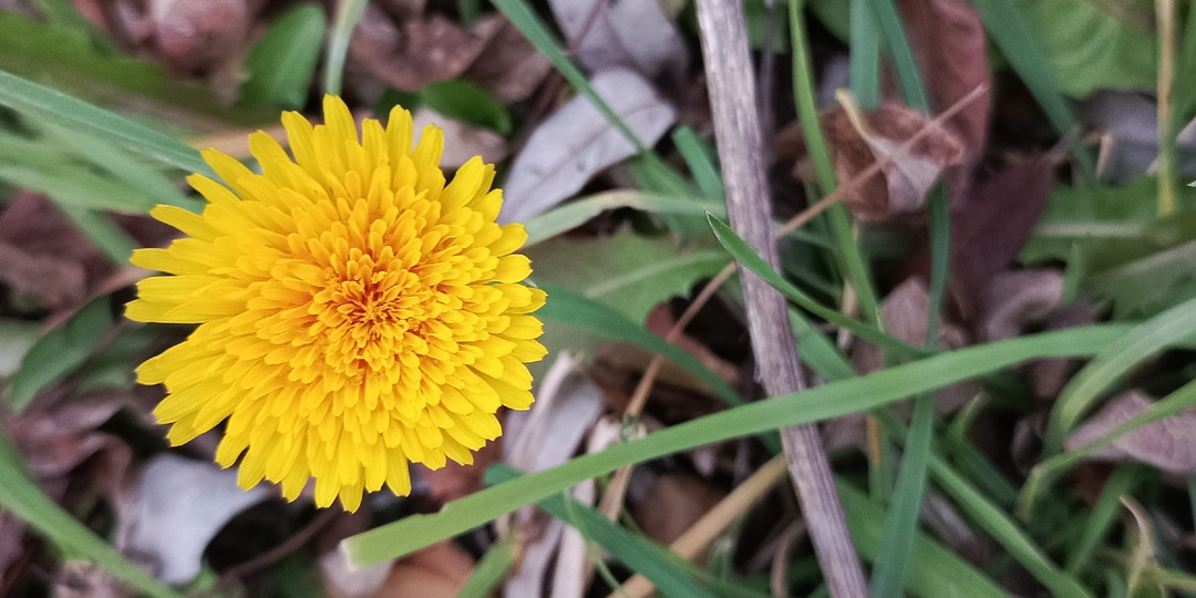 - Ты никогда и не была красивой!-отрезал муж