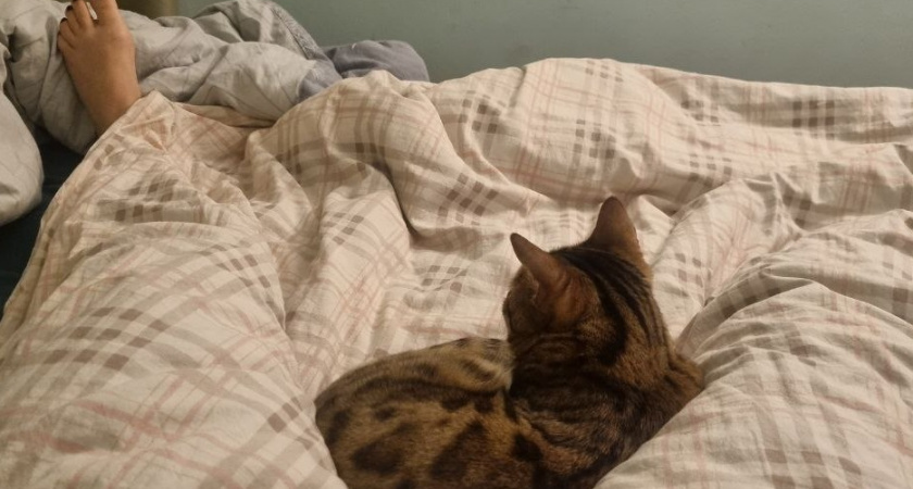    Фото Анастасии Дмитриевой