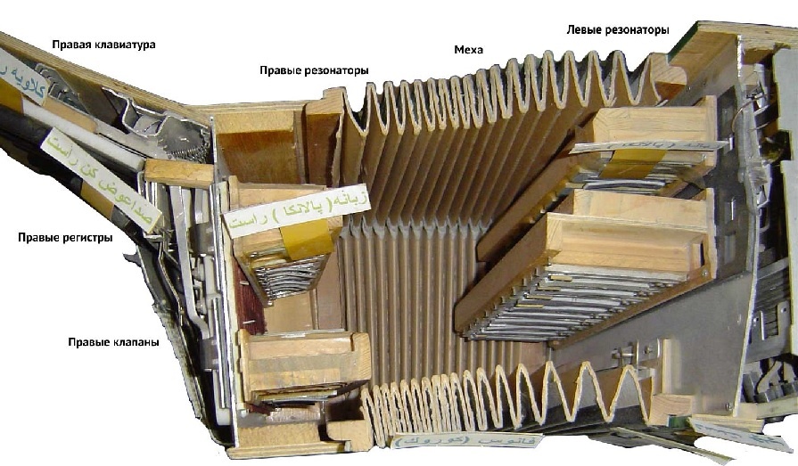 Устройство гармони изнутри (скрин из сети)