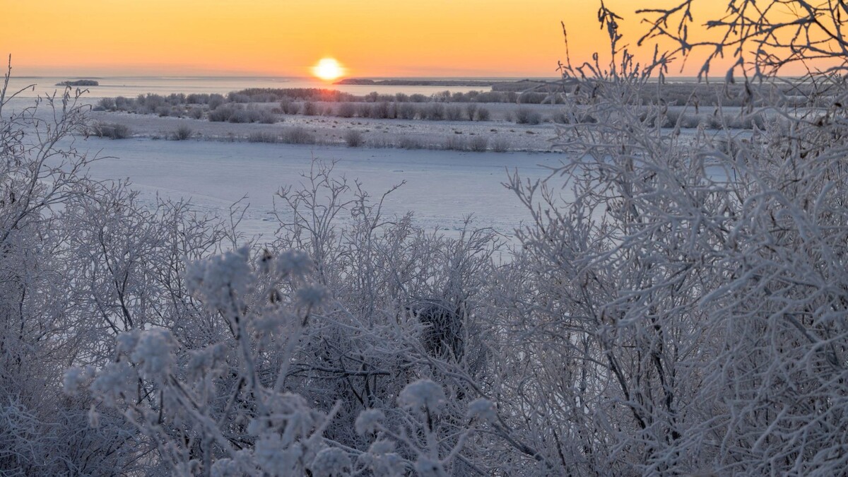    Фото: Федор Воронов / «Ямал-Медиа»