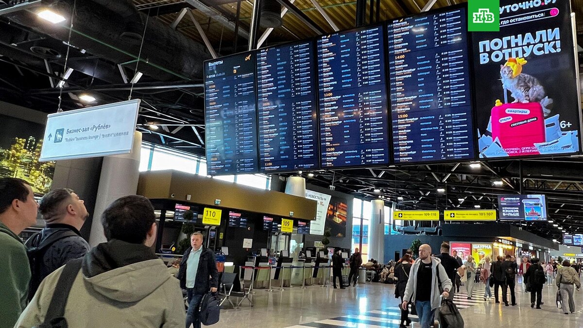    Фото: РИА Новости © 2025, Наталья Селиверстова