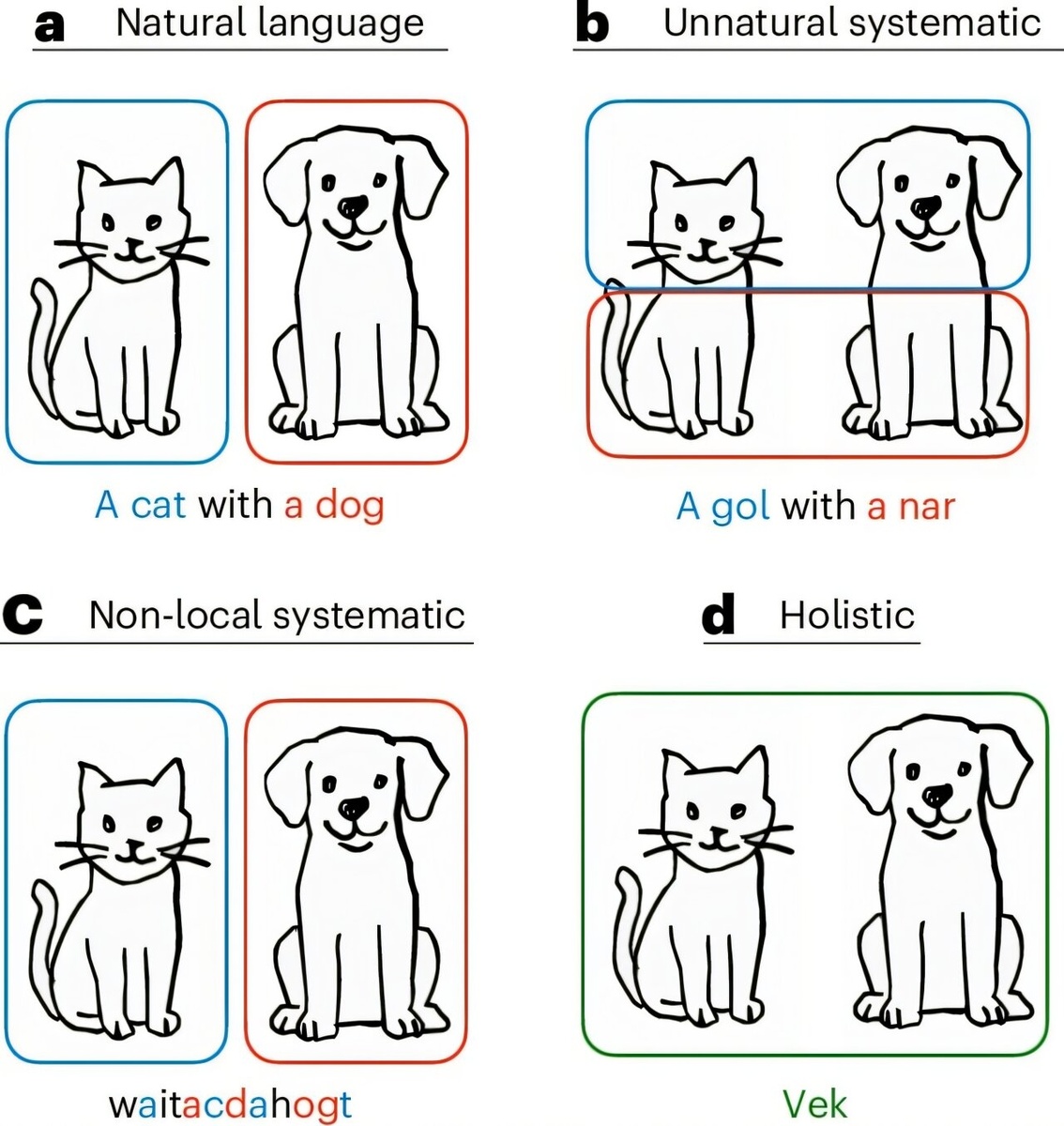    Примеры высказываний, описывающих изображение на английском и различных гипотетических языках.Nature Human Behavior