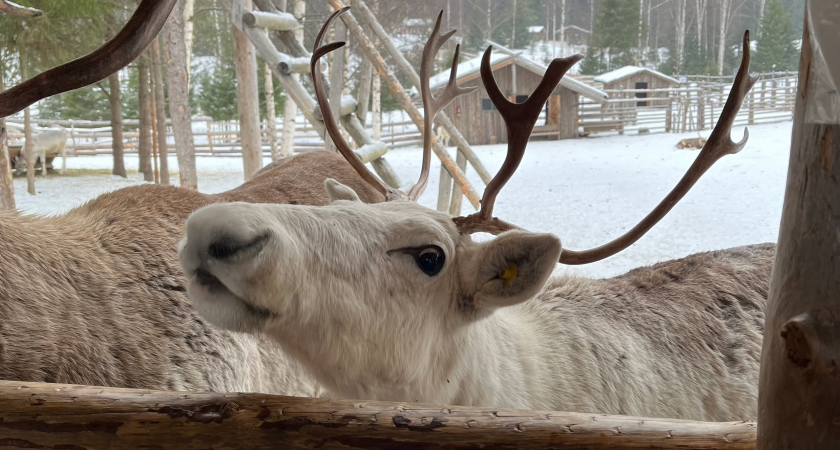    Фото из архива Pro Города