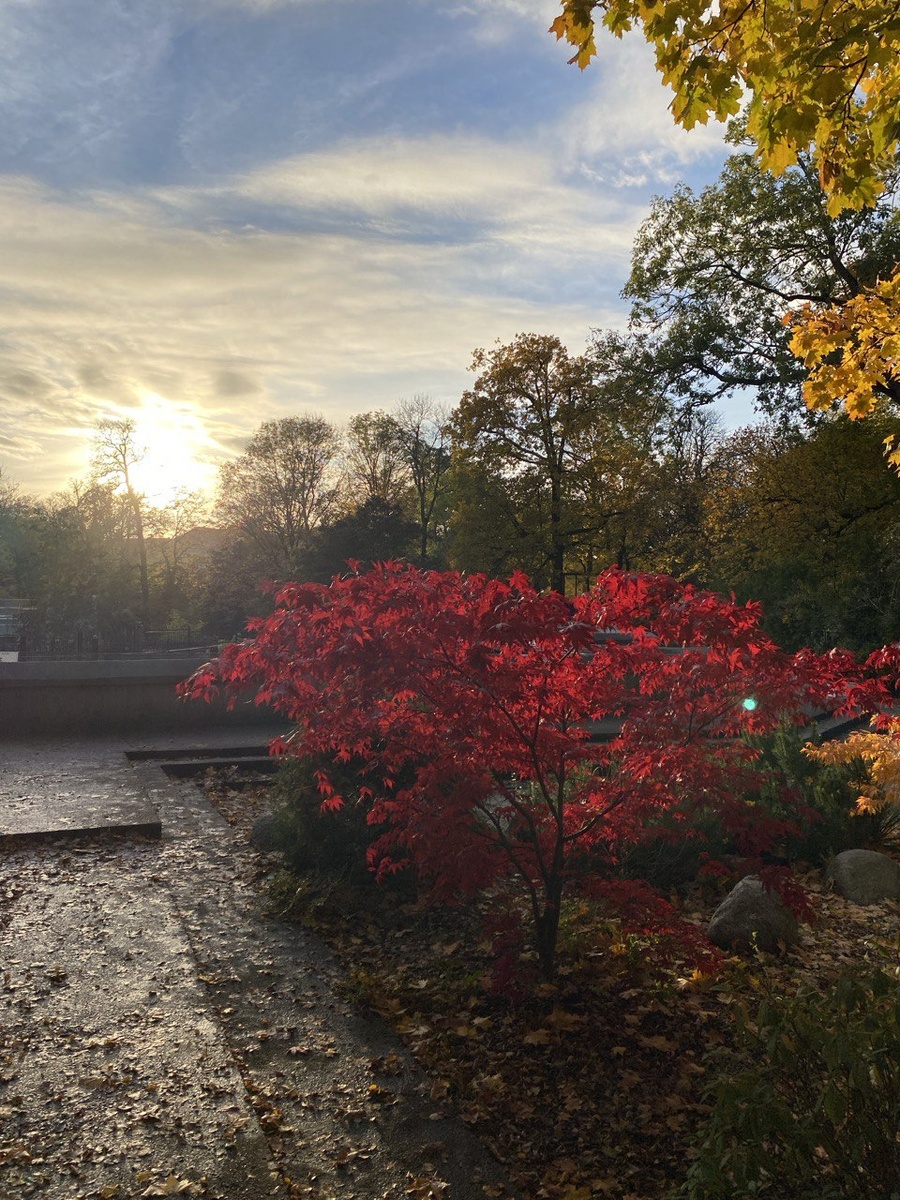 Калининградский Зоопарк. Октябрь месяц.