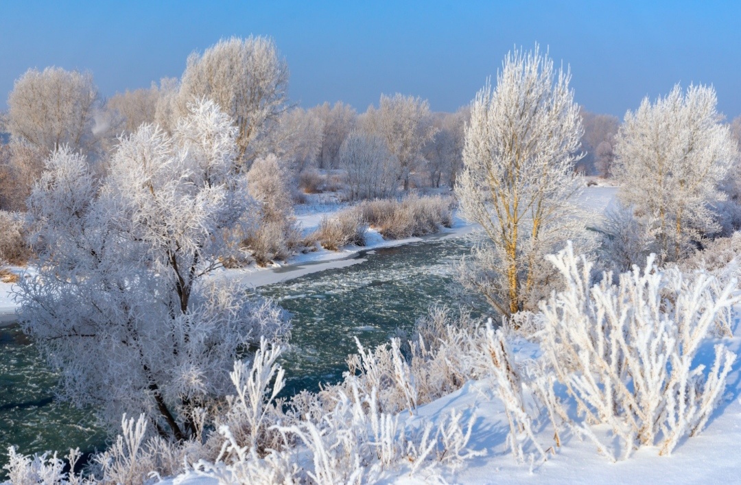 Фото с Яндекс. 