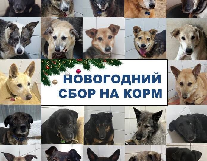 ПОДАРКИ ДЛЯ САМЫХ ОБЕЗДОЛЕННЫХ