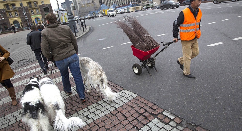 Пылесос на все случаи: Как аномальная зима влияет на уборку улиц в столице