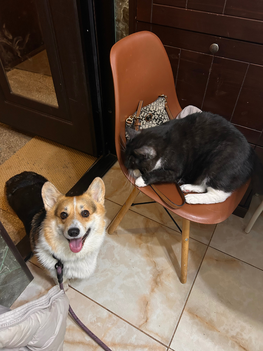 На фото как-будто радостная, по факту - напугана!