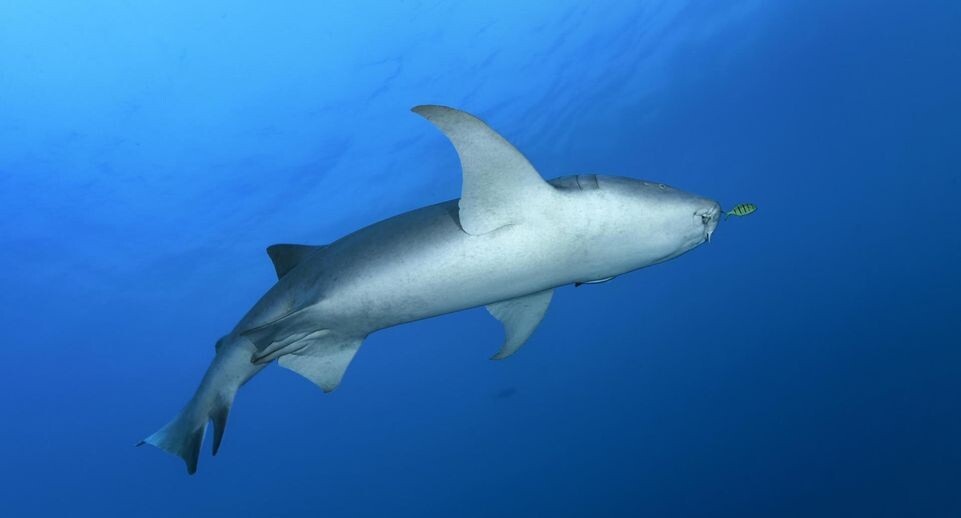    Norbert Probst/http://imagebroker.com/#/search / www.globallookpress.com