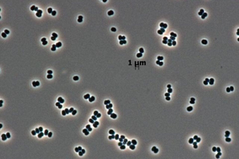 Источник: NASA / JPL-Caltech  📷
