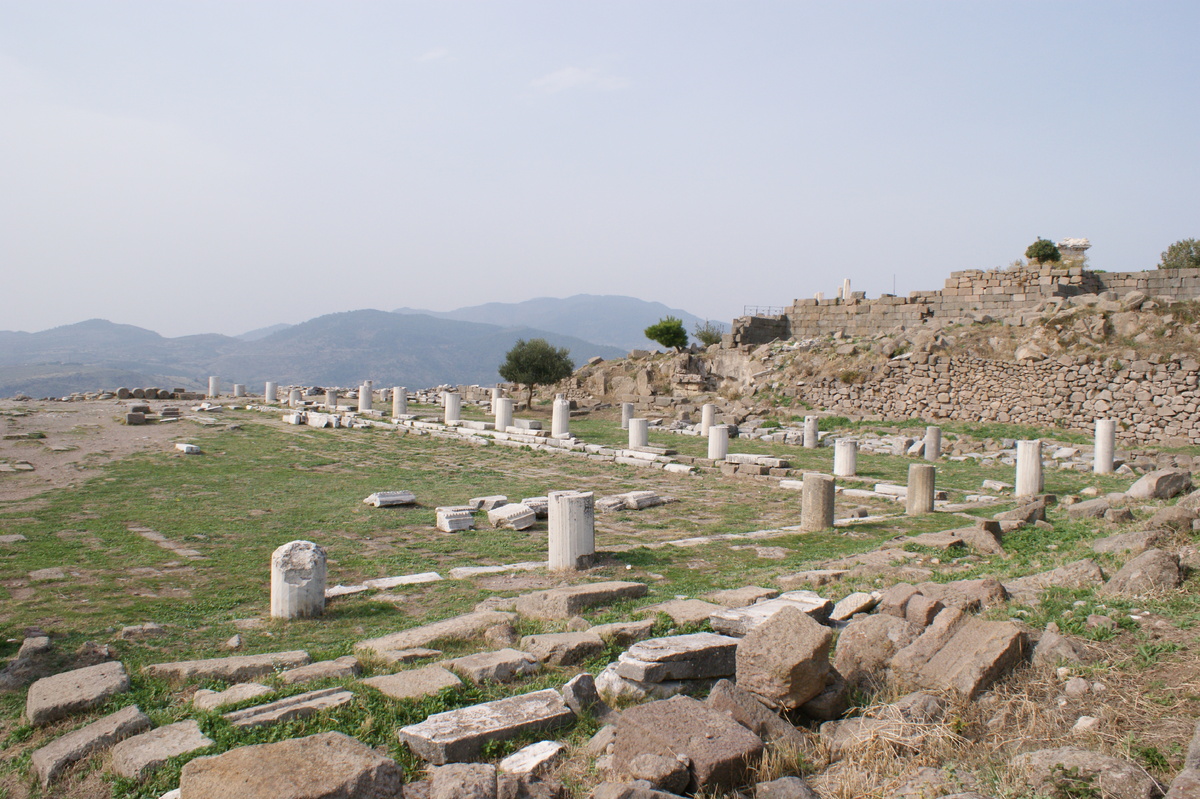 Пергамон. На склонах акрополя среди колонн Афины располагалась и знаменитая библиотека.