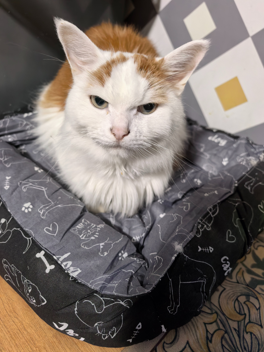 Начало ноября 2025