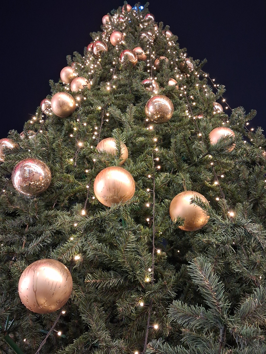 Новогодняя ёлка. Фото автора. 