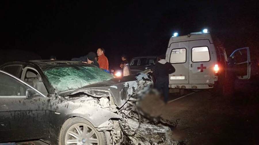     / Источник: © Юрий Юрин/Telegram