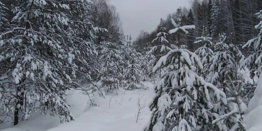 Дороги жизни Глава 65