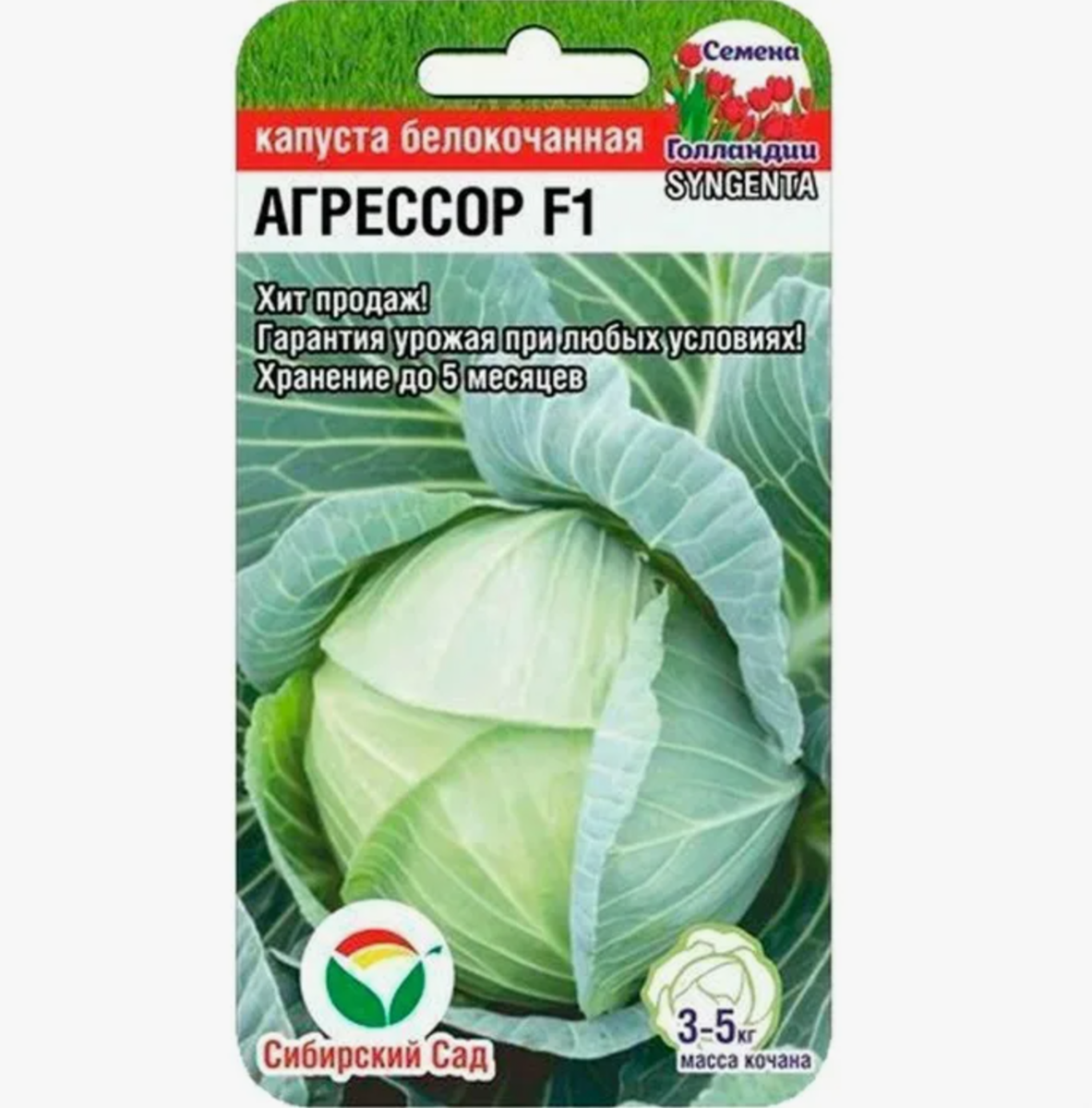 Источник фото: sad-dom31.ru