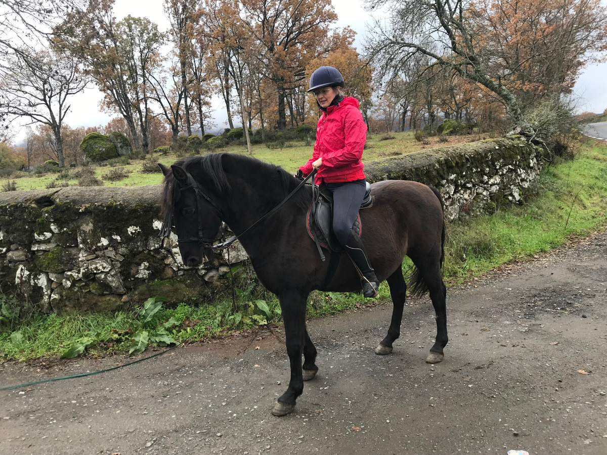 Дарко минимально заезжен под седло, не дается подковать, обладает весьма своеобразным характером, длинной спиной и лишним весом. В общем - сплошное лошадиное недоразумение