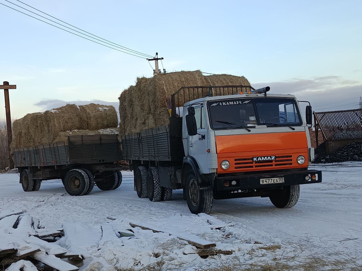 В приют приехала машина с соломой. Соломы много, но приют огромный и солома быстро будет израсходована+++++