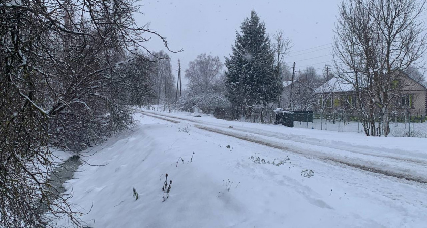    Фото из архива редакции