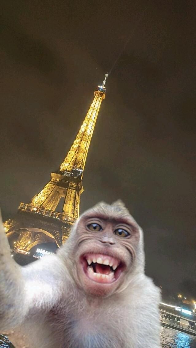 Типичный турист?