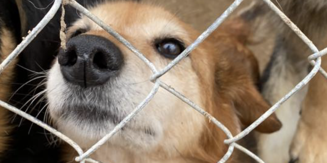 Потерпи, поешь хлеба...