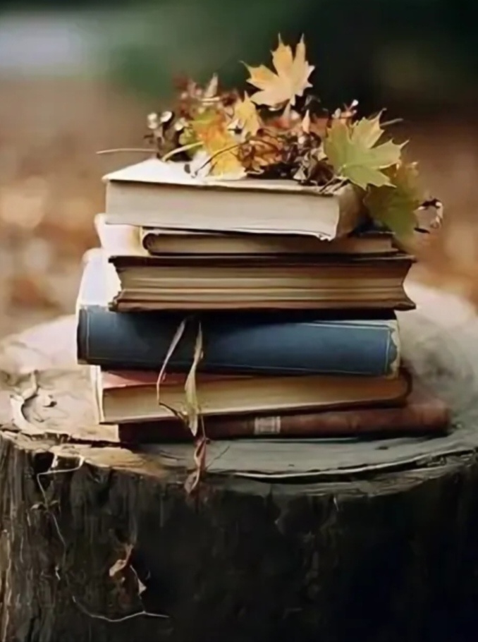 картинка из интернета