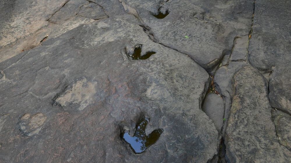    Фото: Sanit Fuangnakhon/Shutterstock/Fotodom