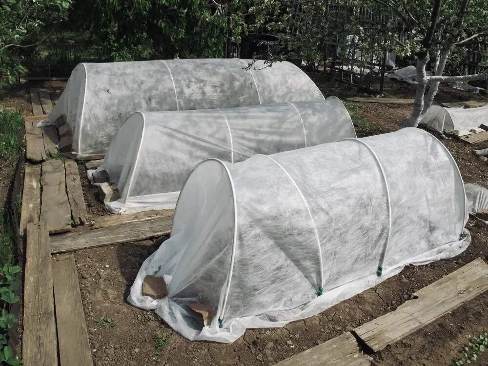    Фото предоставлено филиалом ФГБУ "Россельхозцентр" по Ростовской области. Газета "Земля"