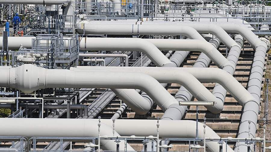    Фото: TASS/Patrick Pleul