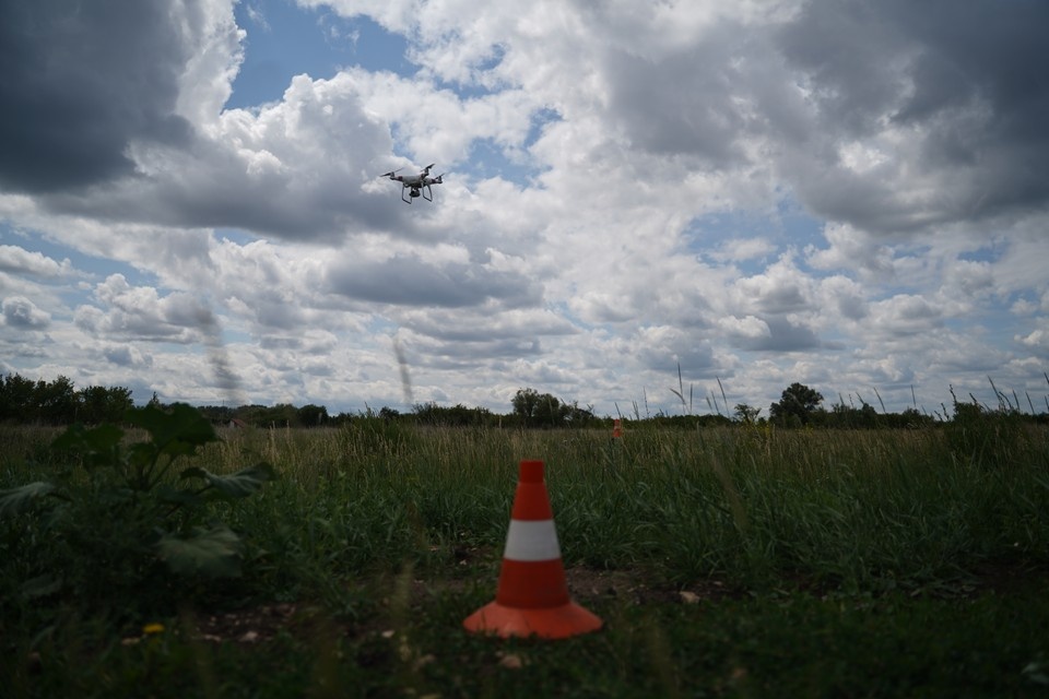    . Светлана МАКОВЕЕВА