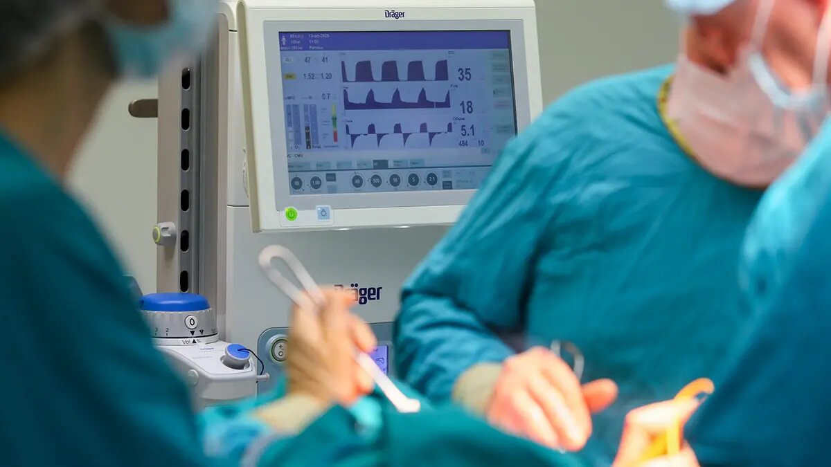    Фото: vm.ru Оливия Ильинская