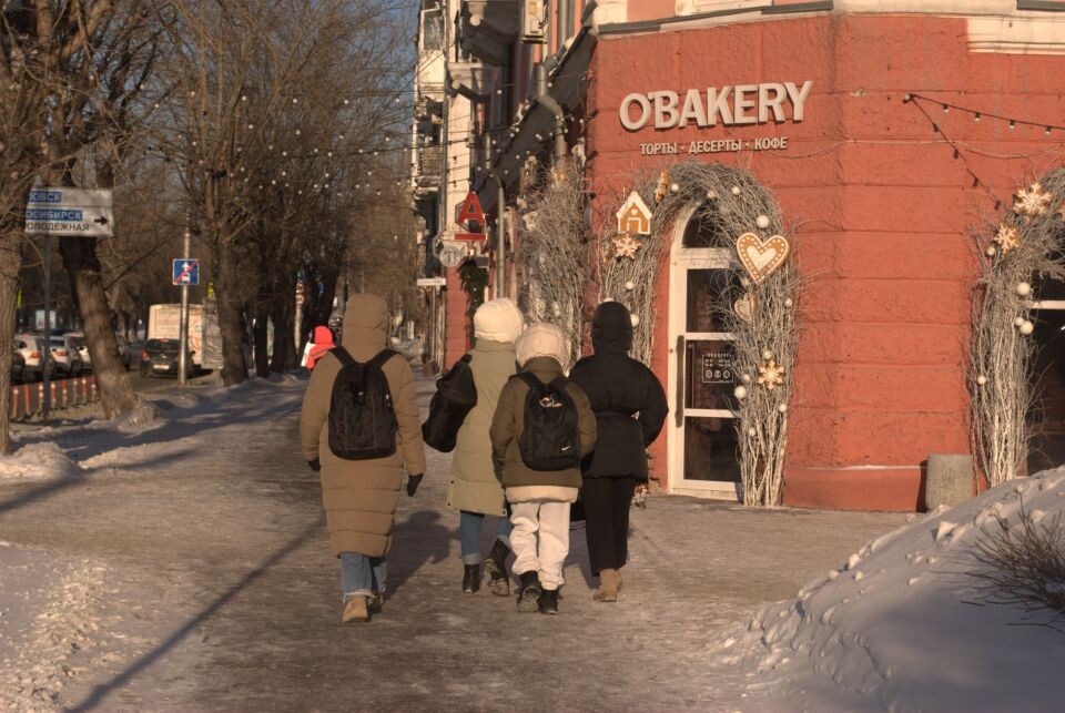    Мороз в Барнауле. Зима. Снег. Источник: Елизавета Жаринова/"Толк"