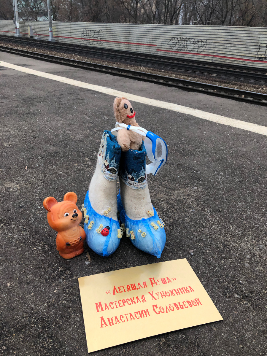 Арт-бахилы «Летим на Курилы» от художника Летящая Душа 