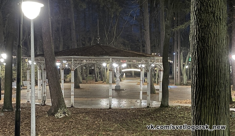 Светлогорск, Лиственничный парк. Дата съемки 5 декабря 2025 года