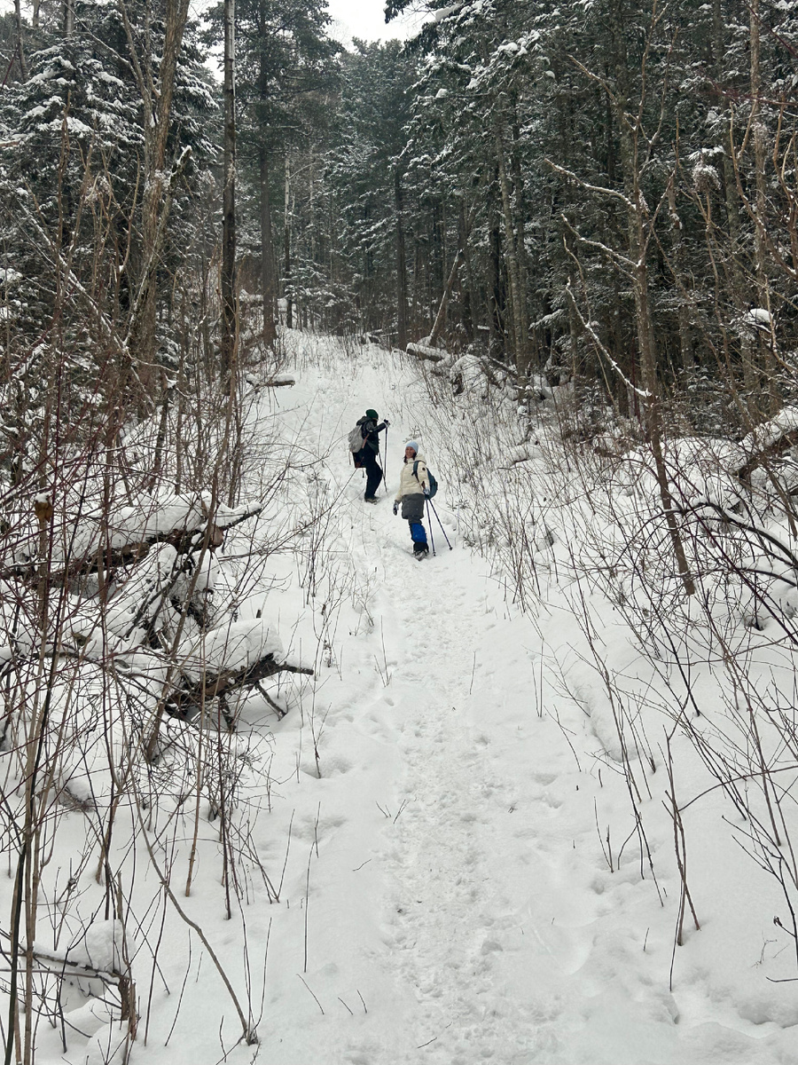 Начало пути