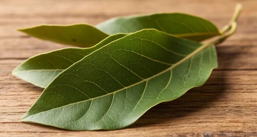    нейросеть shedevrum