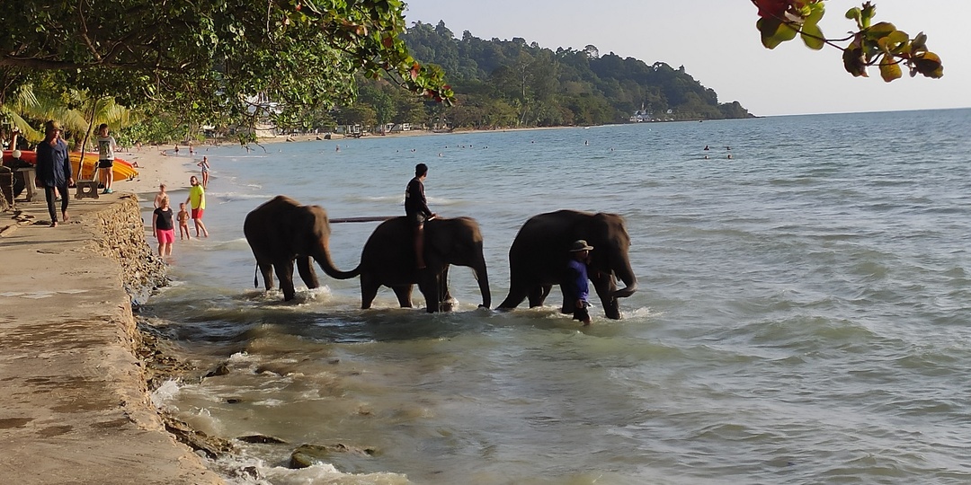 Дневник зимовки на острове Чанг. День 20: отвечаю на вопросы читателей о медицине, страховке, интернете, общении и контингенте отдыхающих