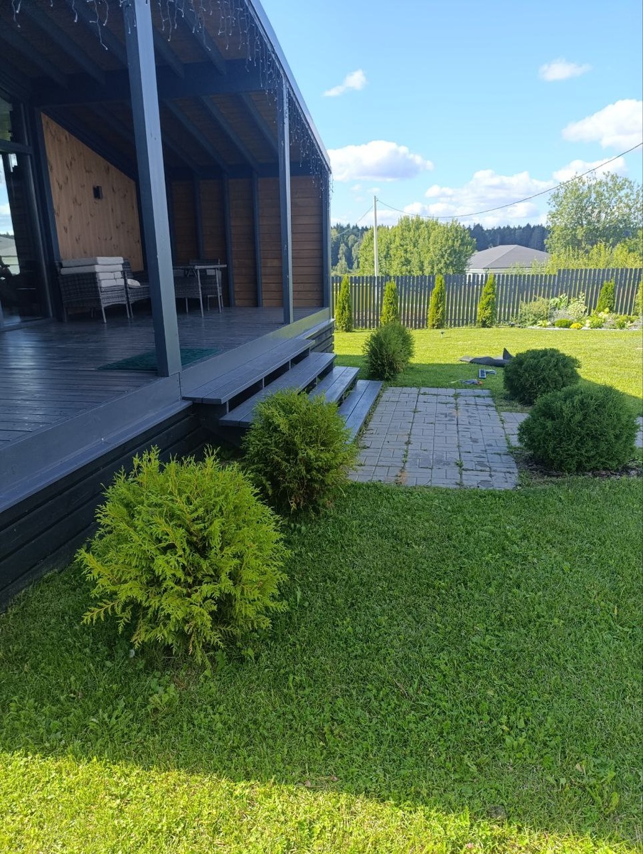 Ближние к террасе туи (шарообразные) посажены далеко от стены, образовывается слишком большое пространство между растениями и террассой.