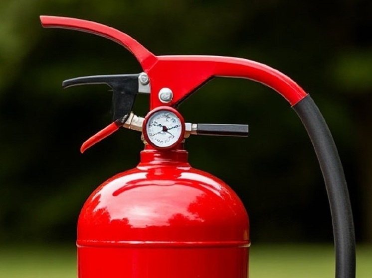     Фото: Шедеврум