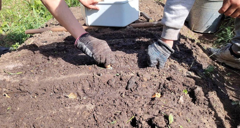    фото из архива редакции