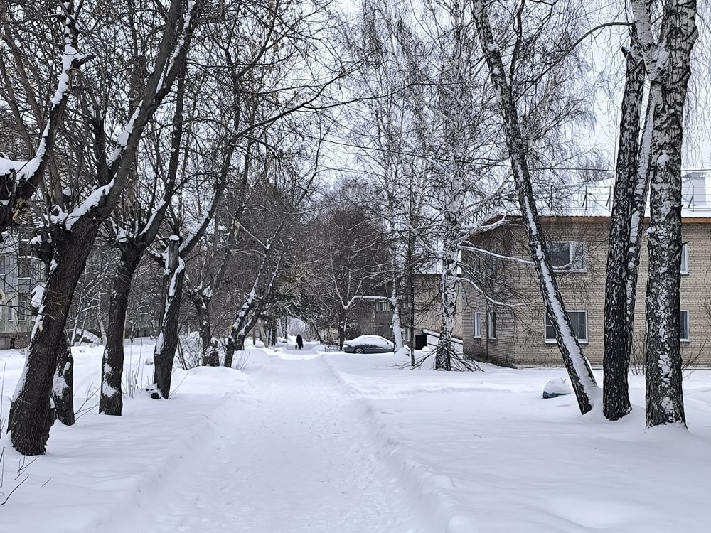    Фото Анны Зубаревой