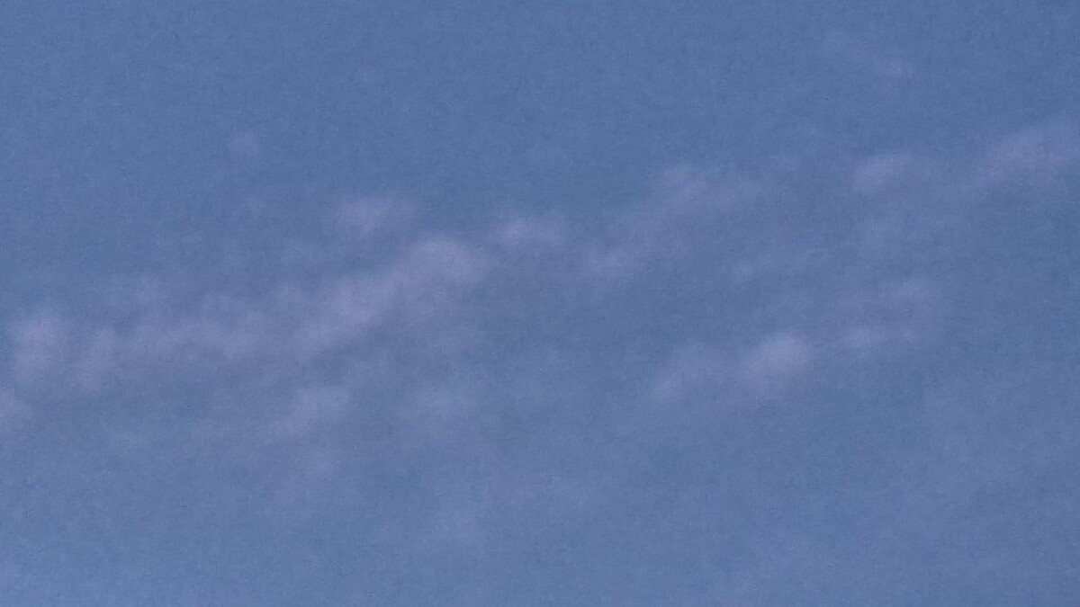    Фото: телеканал «Краснодар»