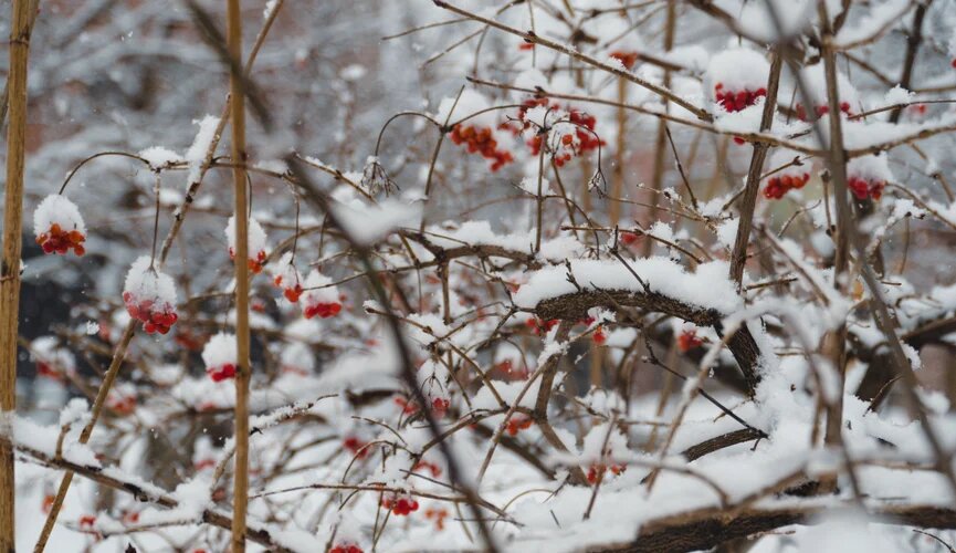 Приметы и поверья на 8 декабря: что нельзя делать в этот день?