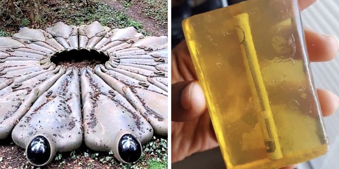 20 странных находок, которые сделали людей невероятно восторженными и удивленными