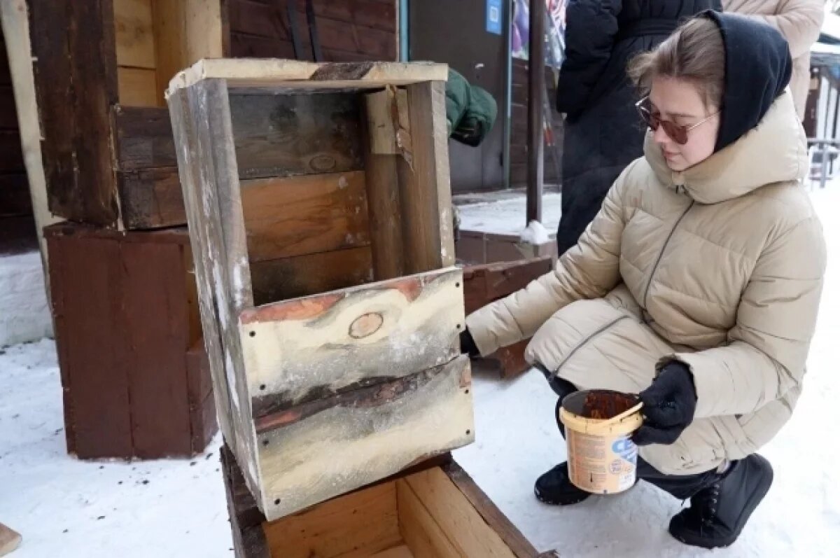    В Рудничном бору Кемерова поставили домики для сов без своих гнёзд