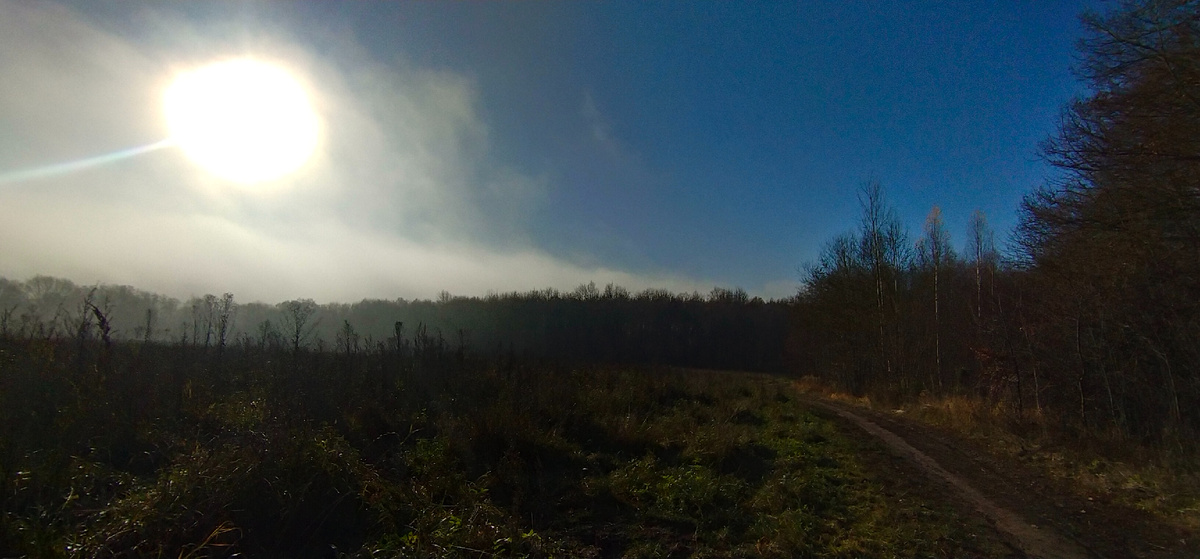 Личное фото