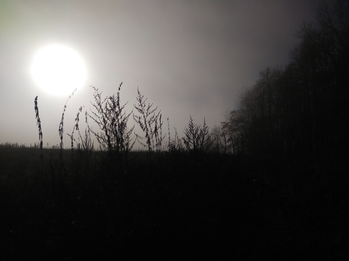 Личное фото