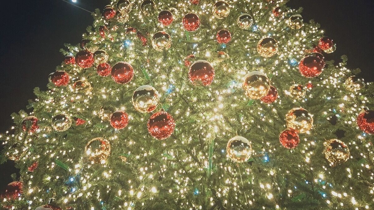 Какой смартфон подарить на Новый год. Фото: 1MI